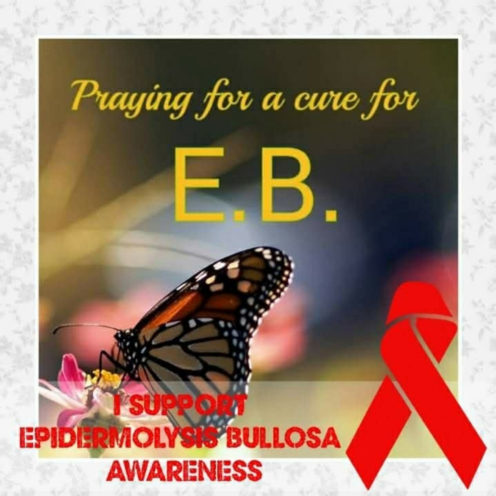 Meet your Posher, Noana